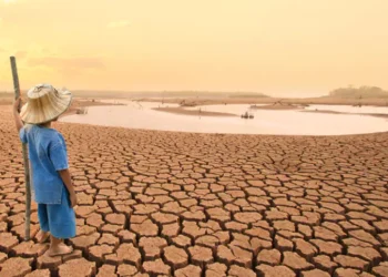 Can Pakistan survive its growing water crisis?