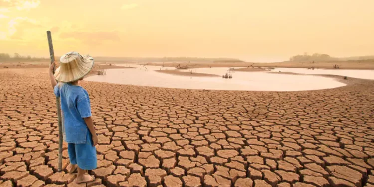 Can Pakistan survive its growing water crisis?