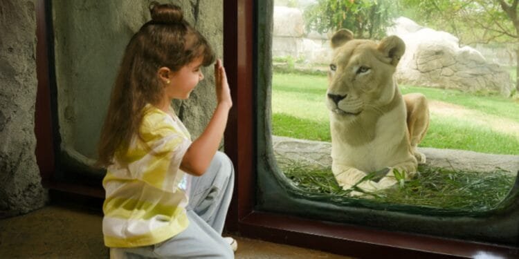 Dubai Safari Park launches contest