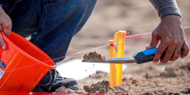 EAD issues new soil quality regulation