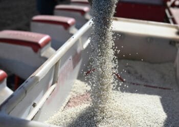 EU backs tariffs on fertiliser imports from Russia, Belarus