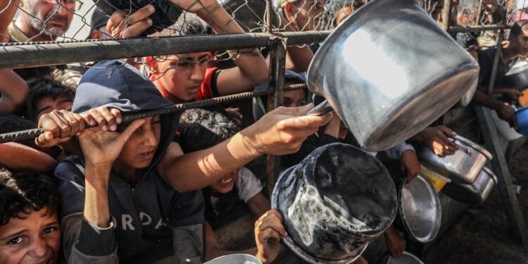 EU calls for Gaza ceasefire, stops short of taking action against Israel