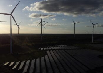 Europe posts record year for clean energy use as Trump pulls US toward fossil fuels