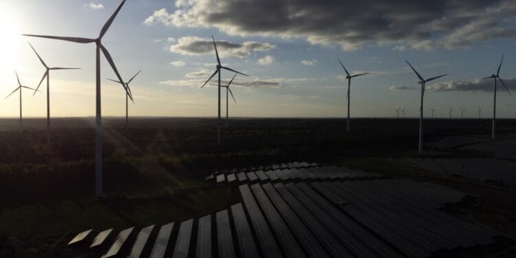 Europe posts record year for clean energy use as Trump pulls US toward fossil fuels