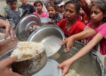 Famine stalking across Gaza, 500,000 face starvation: Analysis