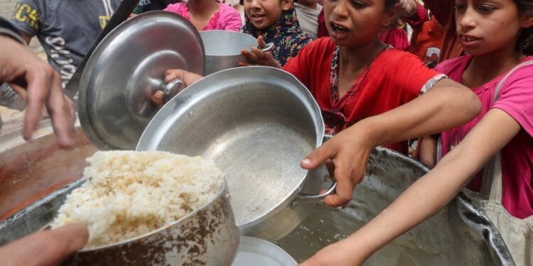 Famine stalking across Gaza, 500,000 face starvation: Analysis