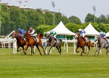 Fifth round of UAE President’s Cup for Purebred Arabians to be held in Italy