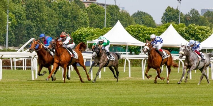 Fifth round of UAE President’s Cup for Purebred Arabians to be held in Italy