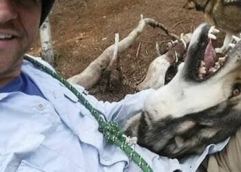 Fired federal workers hunt for new jobs but struggle to replace their old ones