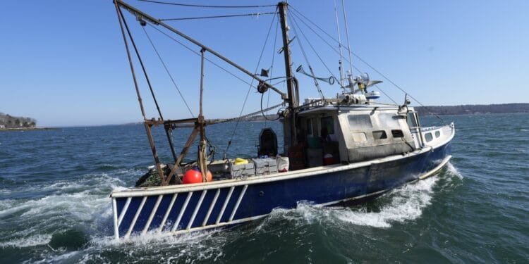 Fishermen say Trump’s DOGE budget cuts are preventing them from adopting climate-friendly technology