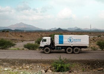 Five UN food aid workers killed in Sudan ambush as hunger crisis deepens