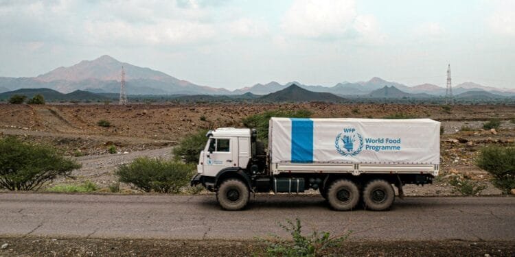 Five UN food aid workers killed in Sudan ambush as hunger crisis deepens