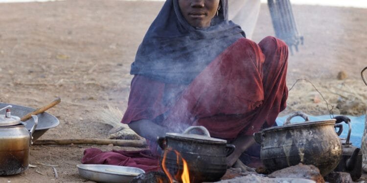 Forced displacement in Sudan’s North Darfur overwhelming aid operations: UN 1 Forced displacement in Sudan’s North Darfur overwhelming aid operations: UN