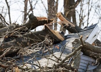 Forecasters warn of deadly floods and strong tornadoes in parts of the Midwest and South