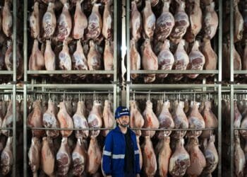 Foreign workers help Spain’s economic growth outpace the US and the rest of Europe