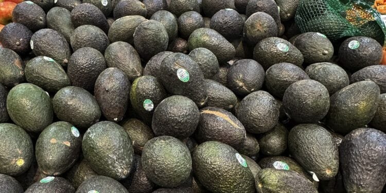 From avocados to autos, Trump tariffs on Canada and Mexico could hit close to home 1 From avocados to autos, Trump tariffs on Canada and Mexico could hit close to home