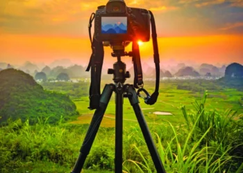 flashbulbs photo file