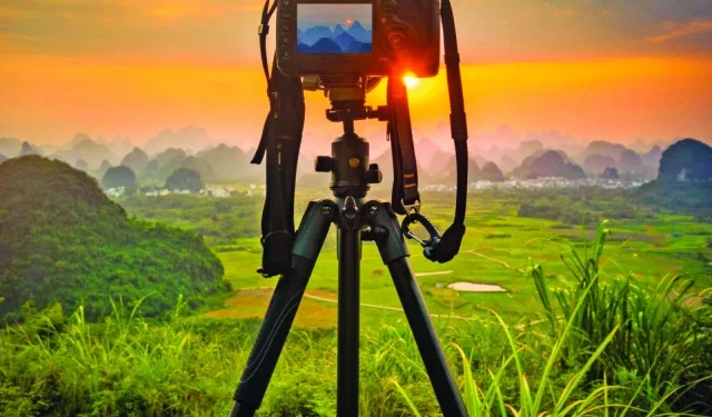 Frozen in Flashbulbs 1 flashbulbs photo file