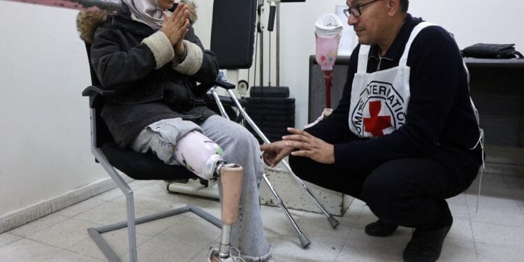 Gaza health system ‘extremely fragile’ as aid point killings increase: ICRC