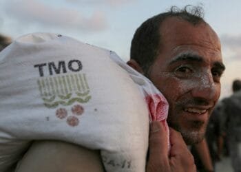 Gaza’s starving men and women chase trucks, face death to feed families