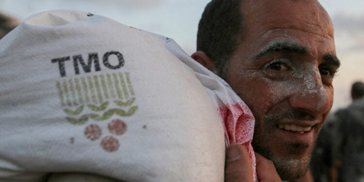 Gaza’s starving men and women chase trucks, face death to feed families