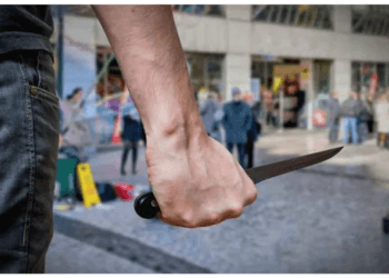 Girl, 11, stabbed to death in the Netherlands