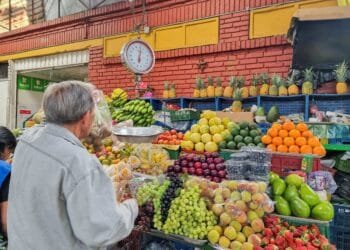 Global food commodity prices steady in March, says UN agency