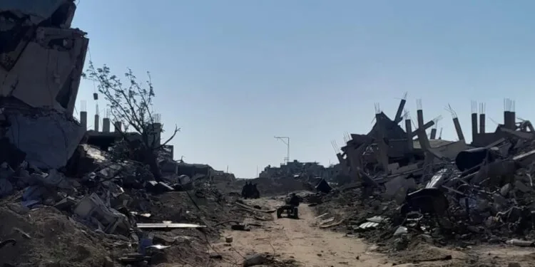 Green and Yellow: Two lines that separate me from my land