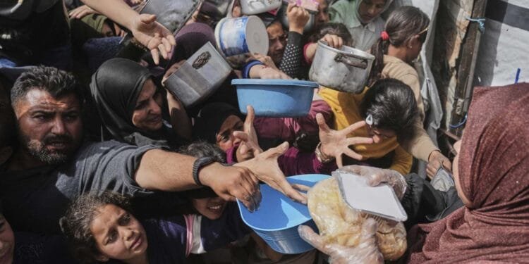 Groups fear Israeli proposal for controlling aid in Gaza will forcibly displace people