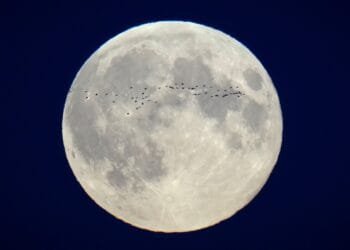 Here’s a look at moon landing hits and misses