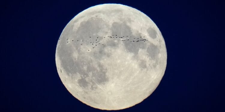 Here’s a look at moon landing hits and misses