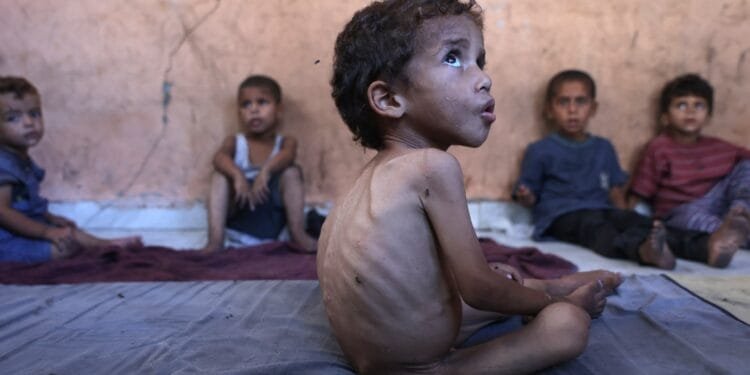 How Israel pushed Gaza to breaking point, ‘starving, alone, and hunted’