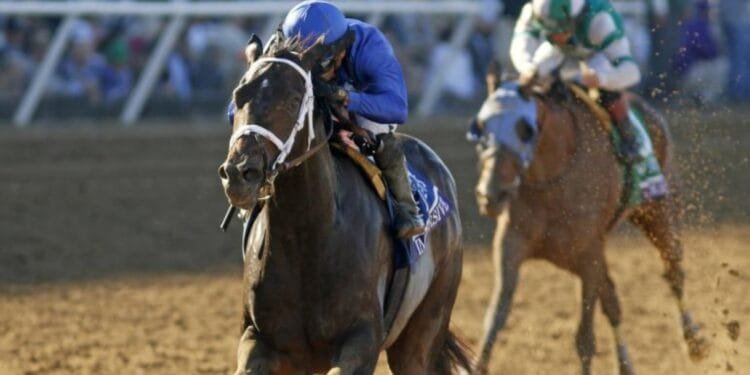 Immersive hopes to regain winning thread in G1 Coaching Club American Oaks