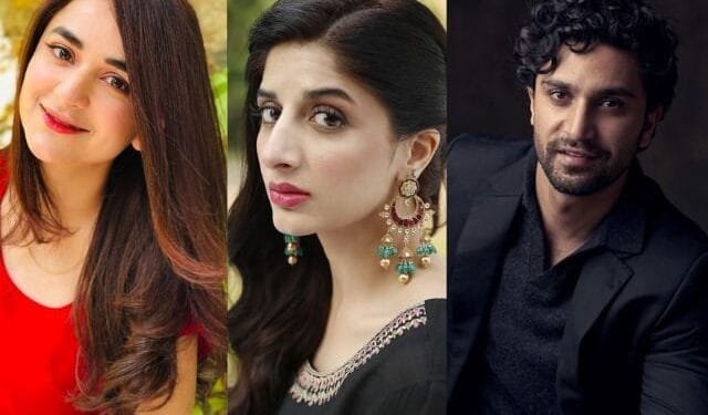 India blocks Pakistani celebrities social media accounts again