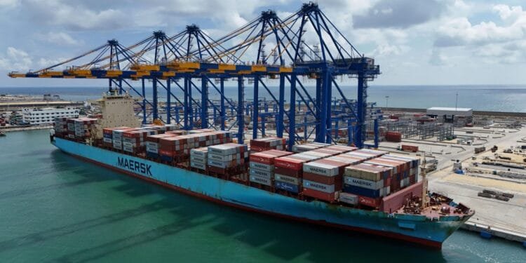 India’s Adani Group opens giant container terminal in Sri Lanka