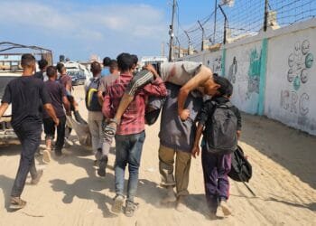 Israel increased Rafah demolition to prepare for Gaza forced transfer plan