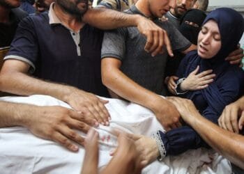 Israel is killing doctors so Gaza can never heal from genocide