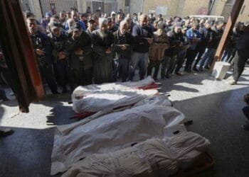 Israel kills 8 Palestinians in Gaza