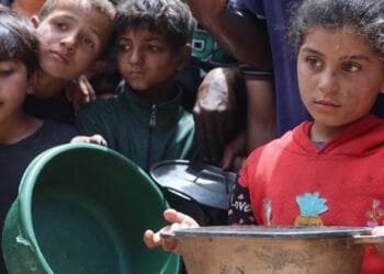 Israel maintains minimal aid deliveries to Gaza amid hunger crisis