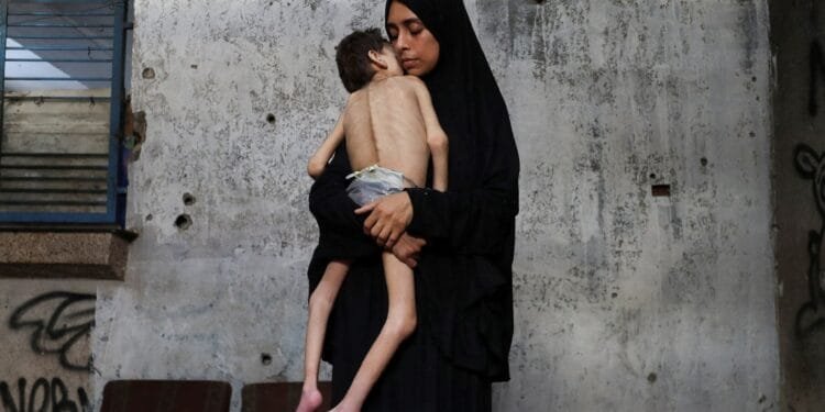 Israel says it’s distributing aid in Gaza, so why are people starving?