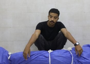 Israeli data shows 83 percent of Gaza war dead are civilians: Report