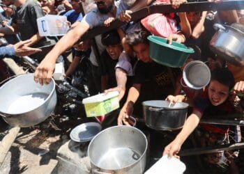 Israeli fire mows down starving Palestinians in Gaza as hunger deaths surge
