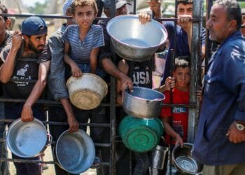 Israeli-induced starvation in Gaza kills 185 in August, 13 more in 24 hours