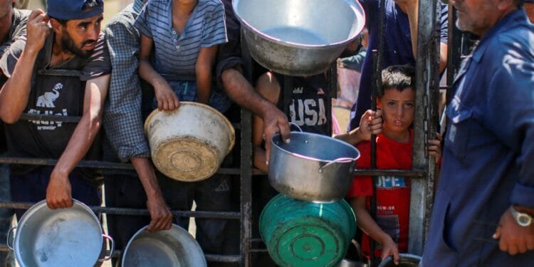 Israeli-induced starvation in Gaza kills 185 in August, 13 more in 24 hours