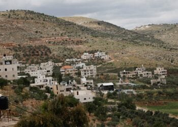Israeli military uproots thousands of Palestinian olive trees in West Bank