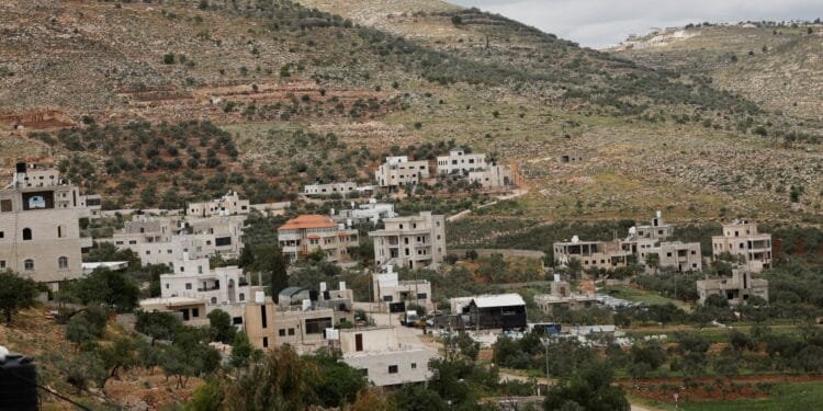 Israeli military uproots thousands of Palestinian olive trees in West Bank 1 Israeli military uproots thousands of Palestinian olive trees in West Bank