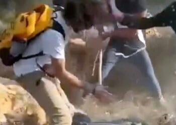 Israeli settlers beat Palestinian farmers on video as attacks mount during West Bank olive harvest