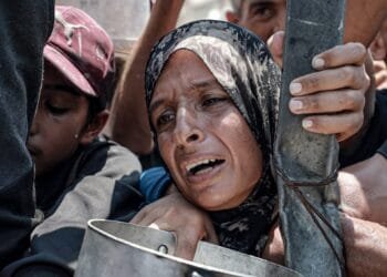 Israeli strikes kill 63 in Gaza despite ‘pauses’, as hunger crisis deepens