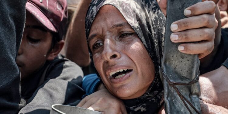 Israeli strikes kill 63 in Gaza despite ‘pauses’, as hunger crisis deepens