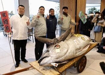 Japanese chefs buy motorcycle-sized tuna for $1.3 million at Tokyo auction